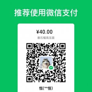 �ҵ����1