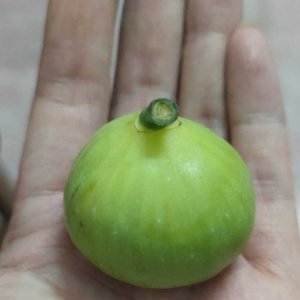 �޻���