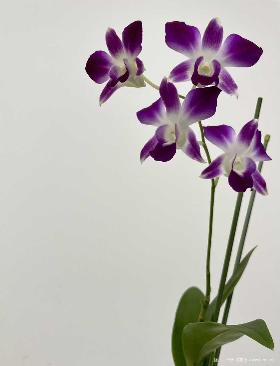 IMG_2734.jpeg