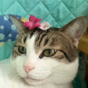 02ïï���طʰס����ʰ�.jpg