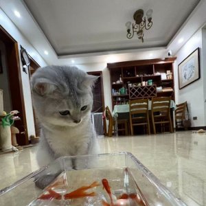 03��514751320��������.jpg