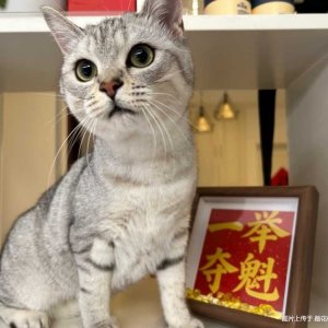 15�ϰ庰��ȥ�Ӱࡪ��С��.jpg