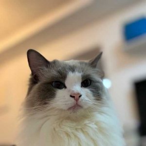 16��ivy_yu19������Բ.jpg