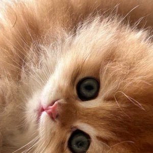 18�װ�~�������Ҷ�.jpg