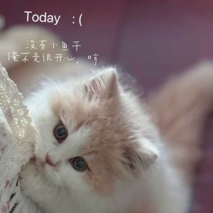 19��jia�֡�������.jpg