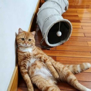 20��ˮ�����С�������.png