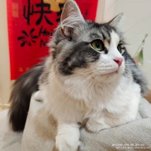 21��Ů�˰�����������Ƥ.jpg