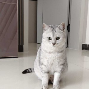 30С����ˮ136���� ����.jpeg