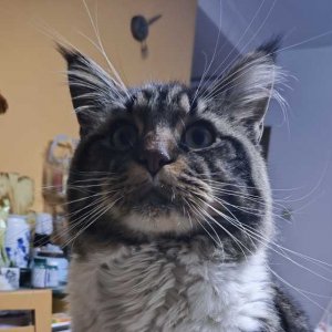 31��strassgu���������.jpg