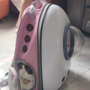 34��sucre7����С����.jpeg