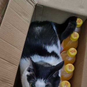 35���ݶ�hxy��������.jpeg