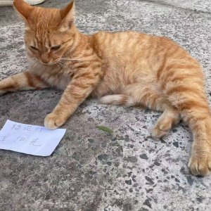 42�����⡪��С��.jpg