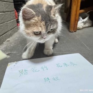 44�����졪�����.jpg