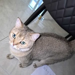 46��jzyzwsy��������.jpeg
