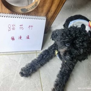 08������������������.jpeg