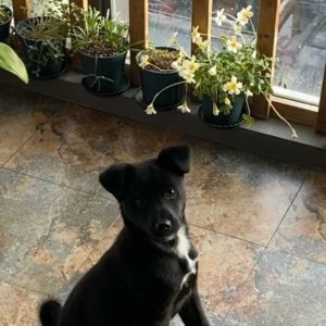 09��delphu��������.jpg